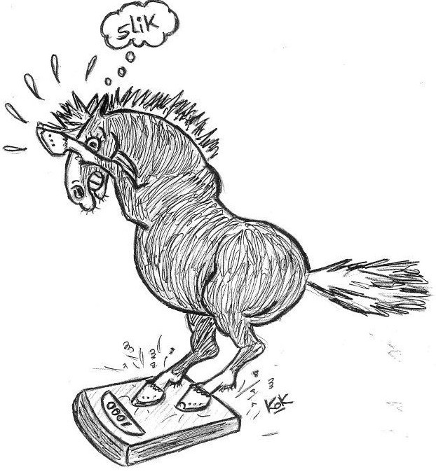 Logo mobiele paardenweegschaal Three Steps